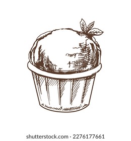 A hand-drawn sketch of an ice cream, cupcake with  mint in a cup. Vintage illustration. Element for the design of labels, packaging and postcards.