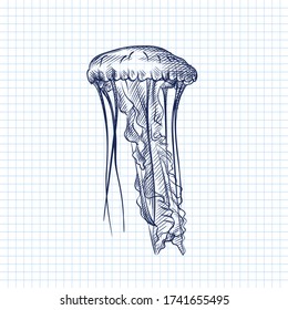 Hand-drawn sketch of jellyfish drawn with blue pen on a white background. Ocean life. Underwater creatures. Aquarium plants and animals