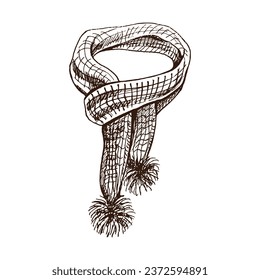 Hand-drawn sketch of knitted  scarf. Knitwear, handmade concept in vintage doodle style. Engraving style. 