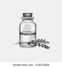 Hand-drawn sketch of lavender flower with a glass jar on a white background. Lavender plant. Lavender treatment. Branch of lavender. Herbs and plants. 