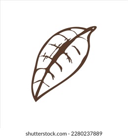 A hand-drawn sketch of  leaf. Vintage illustration, doodle. Element for the design of labels, packaging and postcards.
