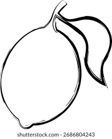 Hand-drawn sketch of a lemon with a leaf. Rough chalk and charcoal sketch of a lemon. Isolated vector illustration on a transparent background.