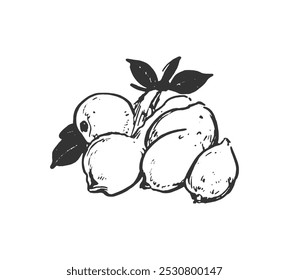Esboço desenhado à mão de limões com folhas. Um esboço simples, mas evocativo, de limões, mostrando sua cor amarela vibrante e aroma refrescante. Ideal para projetos relacionados a alimentos, bebidas ou saúde.