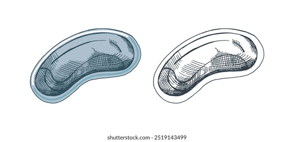 Hand-drawn sketch of medical steel plate on a white background.  Stomatology attributes. Dentistry tools and equipment.