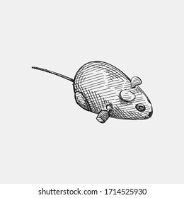 Hand-drawn sketch of Mouse Robotic Cat Toy on a white background. Mouse toy for cats Pet supplies. Care for home animals. 