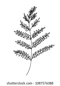 Hand-drawn sketch of a plant, isolated on white background. Abstract summer Vector illustration.