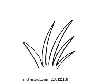 Hand-drawn sketch of a plant, isolated on white background. Abstract summer Vector illustration.