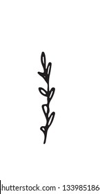 Hand-drawn sketch of a plant, isolated on white background. Abstract summer Vector illustration.