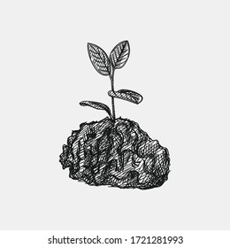 Hand-drawn sketch of plant with leaves growing in the ground on a white background. Gardening tools and equipment. 
