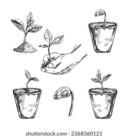 Hand-drawn sketch of plants in biodegradable peat moss pots and tree sprout in hand. Eco concept. Doodle vector outline doodle icon.