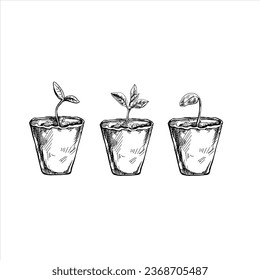 Hand-drawn sketch of plants in biodegradable peat moss pots on white background. Eco concept. Doodle vector outline set.