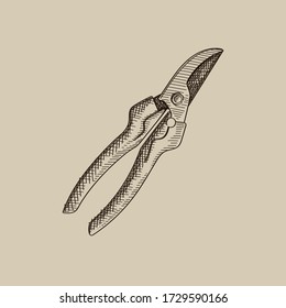 Hand-drawn sketch of Pruning Shears on a white background. Gardening tools and equipment.	
