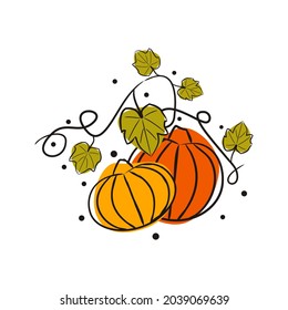 Hand-drawn sketch pumpkins with leaves on a melon field. Doodle style picture isolated on white background. Vector illustration on theme of harvest, fall, thanksgiving and halloween