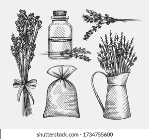 Hand-drawn sketch set of lavender on a white background. Herbs and plants. Lavender flower with a glass jar, bag for herbs, bunch of lavender, lavender flowers in a metal jar