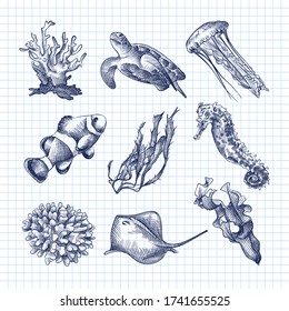 Hand-drawn sketch set of Underwater creatures drawn with blue pen on a white background. Ocean life. Aquarium plants and animals. Coral, turtle, jellyfish, sea weed, crampfish 