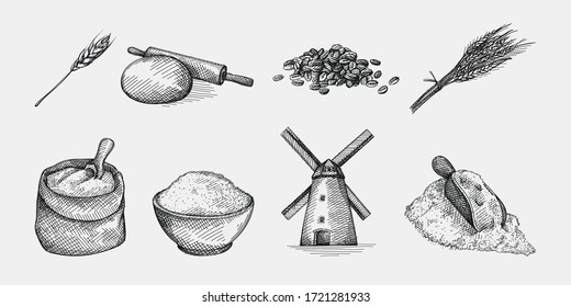 Hand-drawn sketch set of wheat and flour. Wheat and flour production making. Ears of Wheat; flour in bowl, rolling pin and dough; windmill; shovel wheat grains