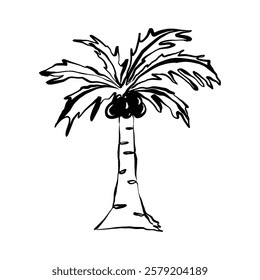 A hand-drawn sketch of a single palm tree with a thick trunk and lush fronds suggesting a tropical setting.