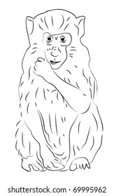 Hand-drawn sketch of sitting monkey