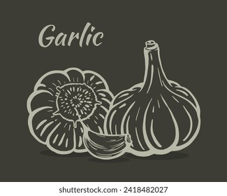 Hand-drawn sketch of a still life with garlic. Heads of garlic and one clove. The illustration is isolated on a dark background. Vector.