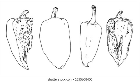 Hand-drawn sketch style set of vector peppers with a sharp end. Bell pepper, set sweet, whole and cut with seeds isolated elements on a white background. Sketch style vector pepper black outline