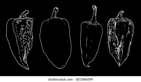 Hand-drawn sketch style set of vector peppers with a sharp end. Bell pepper, set sweet, whole and cut with seeds isolated elements on a black background. Sketch style vector pepper white outline