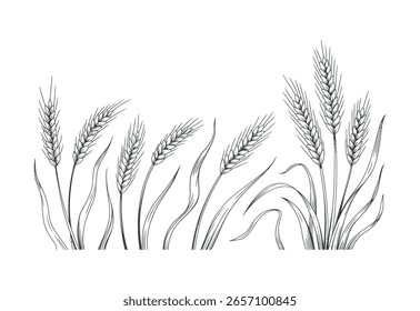 Um esboço desenhado à mão de talos de grama alta balançando suavemente ao vento, renderizado em um estilo de arte de linha simples, elegante em preto e branco.