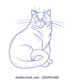 Hand-drawn sketch. Vector illustration of a cat. Linear drawing. Funny fat cat. The funny cat is sitting.