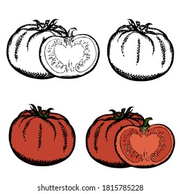Hand-drawn sketch. Vector illustration of tomatoes. Black and white with no background. Realistic image of vegetables.
