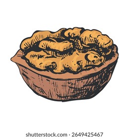 Esboço desenhado à mão da ilustração do vetor da noz. Abra o kernel de noz e os ícones de esboço do shell. Alimentos orgânicos frescos. Lanche de dieta vegetariana. Isolado no fundo branco.
