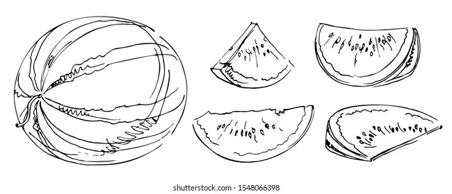 Hand-drawn sketch watermelon and watermelon slices black line on white background
