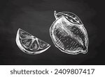 Hand-drawn sketches of lemon, lime and lemon slice on chalkboard background. Vintage lime or lemon fruit. Vector black ink outline food sketch illustration of juicy lime with leaf for fresh drinks.