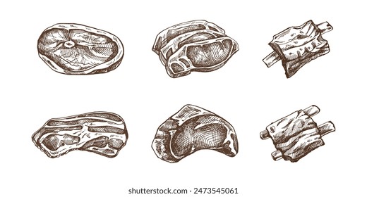 Hand-drawn sketches of pieces of meat, pork or beef steak, chop meat, bacon, piece of meat cuts, vector illustration. Raw meat. Vintage illustration. Decorations for menu of cafes. Engraved image.