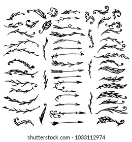 Hand-drawn sketches of plant elements and arrows.