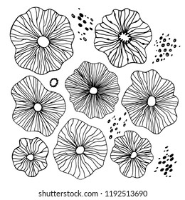 Hand-Drawn Sketchy Doodle Design Elements with Flowers, circles. Black and white Abstract Vector Illustration Background