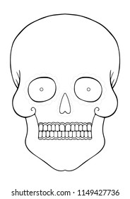 hand-drawn skull contour