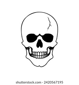 Hand-drawn skull head with a slight scratch on the forehead