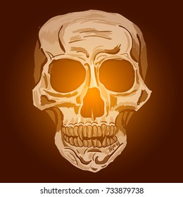 Hand-drawn Skull vector illustration.