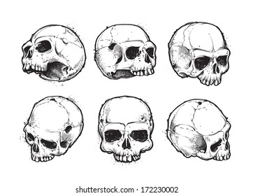 Hand  drawn skulls vector set  Grunge skulls  Vector illustration 