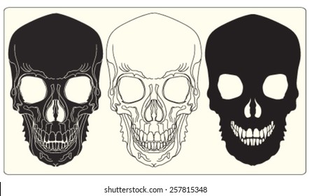 Hand-drawn skulls vector set. Grunge . Vector illustration.