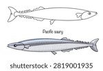 A hand-drawn, slender marine fish with a long, narrow, silvery body, a dark back, and a light-colored belly. It has a pointed head, small fins, and a forked tail. Pacific saury.