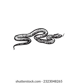 ilustración de serpiente dibujada a mano, dibujo de serpiente, animal de sangre fría, jungla, tatuaje tropical de serpiente