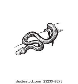 ilustración de serpiente dibujada a mano, dibujo de serpiente, animal de sangre fría, jungla, tatuaje tropical de serpiente