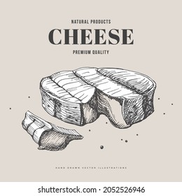 Hand-drawn soft fatty cheese on a light background. Cut Camembert head. Retro picture for the menu of restaurants, markets, and shops. Vector illustration in the style of engraving.