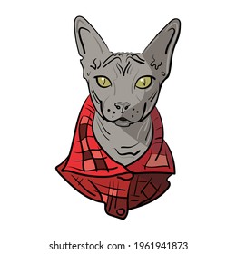 Hand-drawn Sphynx cat in a red shirt. Vector illustration for print and cat food advertising, pet shop, sticker and poster, flyer and postcard.