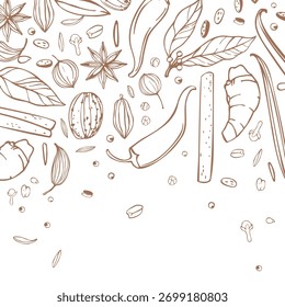 Hand-drawn spices. Vector background. Sketch illustration