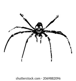 Hand-drawn Spider with a skull on its body. Art for logo, print. Vector.
