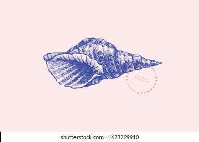Hand-drawn spiral shell vector illustration on a pink background. Ancient molluscan engraved line. Fauna of the sea and ocean in retro style. Design element for invitation, poster, postcard.