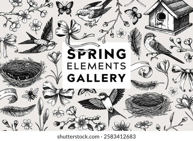 Hand-drawn spring background. Flying bird, sakura flower, birdhouse, bow, ribbon sketches. Easter vector illustrations. Vintage baroque frame design. NOT AI generated