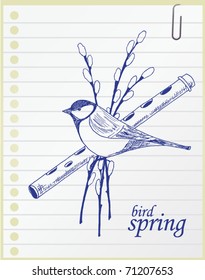 hand-drawn spring bird sketch