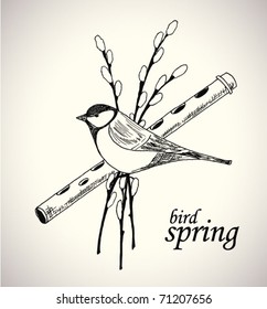 boceto de aves de primavera dibujado a mano